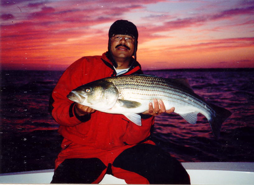 1st_bass_herring.jpg (72112 bytes)