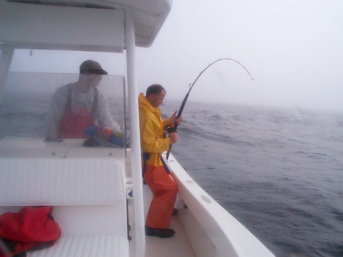 AndyOnFish2.jpg (292330 bytes)