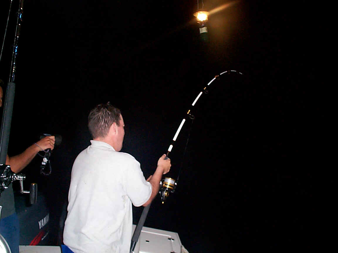 BrainSpinTuna3.jpg (130851 bytes)