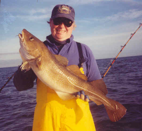 TomCod.jpg (26608 bytes)