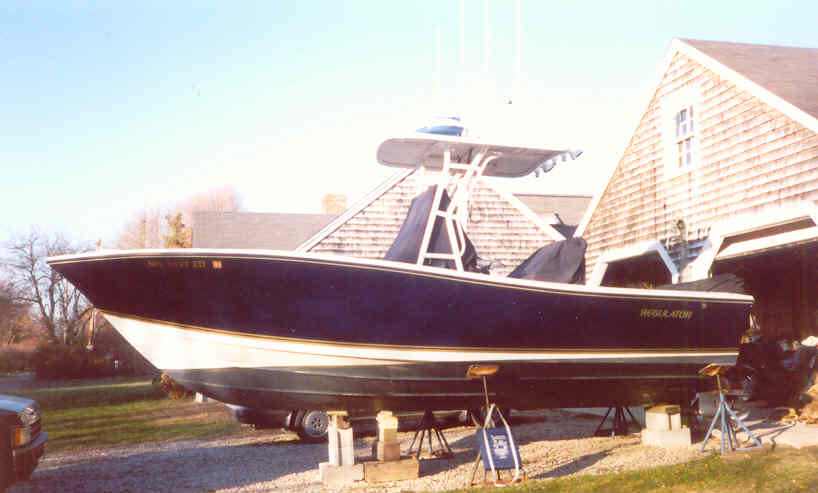 in_yard2.jpg (37967 bytes)